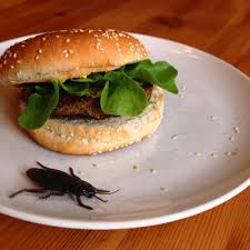 Schottland, irland und wales, nach den gerichten mit dem miesesten. Insektenburger Aus Dem Supermarkt Eklig Oder Lecker Alsfeld