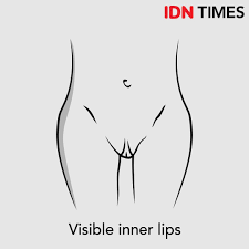 Bentuk faraj adalah berbeza pada setiap wanita, sama ada dari segi warna, ukuran mahu pun bau. 7 Tipe Bentuk Vagina Yang Dimiliki Perempuan Ternyata Beragam