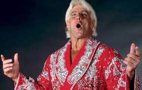 Ric flair's most spectacular robes: Your Full Guide Of Ric Flair Costume Shecos Blog