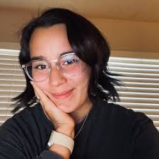 What are some Christmas or Holiday themed thriller book recommendations?