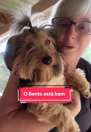 O Bento está bem: A rotina da mamãe e seu pet