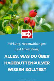hagebuttenpulver wirkung nebenwirkungen und anwendung utopia de hagebutte nahrungserganzungsmittel gesundheit und wellness
