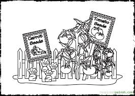Vegetable Garden Coloring Pages Printable Coloring Pages Garden Coloring Pages Coloring Pages Vegetable Coloring Pages