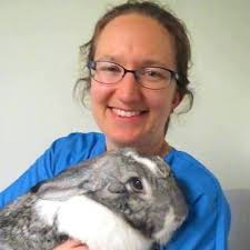 FASAVA Congress 2017: Directory