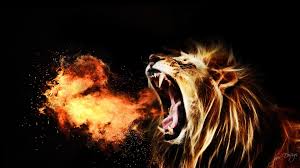 Image result for lions to roar