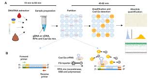 Wtt/wts valorant account wts offer me rank : Translational Mechanobiology Laboratory Homepage