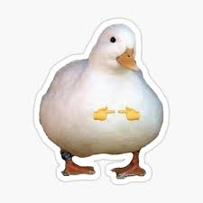 Trending images, videos and gifs related to duck! Shy Duck Fingers Touching Sticker By Silasi Redbubble