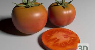 Tomatoes Tomato 3d Model Model