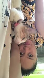 Katy louise Saunders