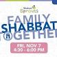 Sholom Sprouts Family Shabbat Together (Ages 0 to event image