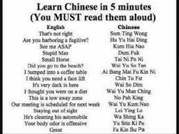 The first lesson a revolutionary must learn is that he is a doomed man by thispicaintfree more memes. Learn Chinese In 5 Mins Youtube