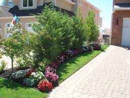 Landscaping ideas for a simple front yard. 8 Drought Tolerant Plants To Line Your Driveway Install It Direct