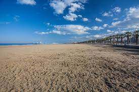Il best western hotel dei cavalieri si trova nell'antica zona salsello: Barletta Spiagge Libere Quali Visitare In Vacanza Viaggiamo