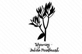 Download State Flower Wyoming Indian Paintbrush Svg Cut File By Creative Fabrica Crafts Creative Fabrica PSD Mockup Templates