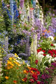 Monet S Garden Beautiful Flowers Beautiful Gardens Dream Garden
