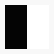 Search results for half white half black. Split Black And White Poster By Krypticatt Redbubble