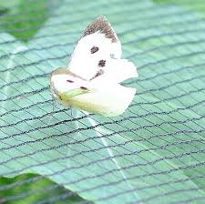 Which vip level can get the umbrella memory set? Garden Netting For Plant Protection Uk Based Company