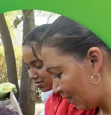 GUIA TECNICA CULTIVO DE FRIJOL.indd