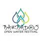 Guided Open Water Swim in Carlisle Bay event image