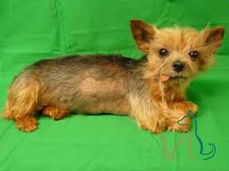 Use the petbarn store locator to find the specialty pet store nearest you. Photo Gallery Feature Videos Second Life Freeze Dry