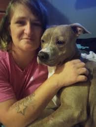 Lost white Siberian cat in Phillips Grove, Florida