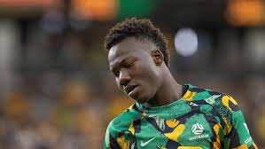 Image result for Nesaea rautanenii