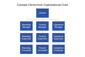 Organizational Chart Of A Retail Company 2019
