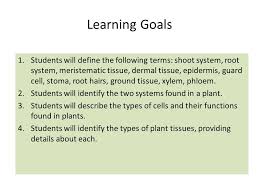 We did not find results for: 13 2 The Vascular Plant Body Agenda Lesson 13 2 The Vascular Plant Body Read P Vocabulary Review Questions P 551 1 2 6 Ppt Download