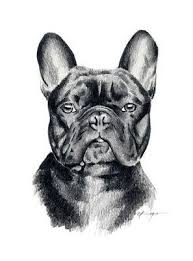 Learn how to draw whatever you see or imagine in the drawing academy video course. Find Many Great New Used Options And Get The Best Deals For French Bulldog Pencil Dog Drawing 8 X 10 Art Print By Ar French Bulldog Art Dog Print Art Dog Art