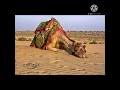 Maybe you would like to learn more about one of these? ØªØ­Ù…ÙŠÙ„ ÙÙˆØ²ÛŒØ§ Mp3 Mp4