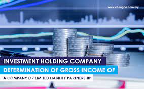 Long term growth · outperform the market · downside protection Investment Holding Company Determination Of Gross Income Of A Company Or Limited Liability Partnership Cheng Co
