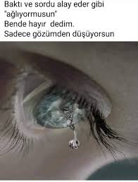 Bilgi Panosundaki Pin