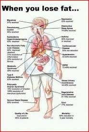 Pin On Shape My Body Weight Loss Fitness Plan