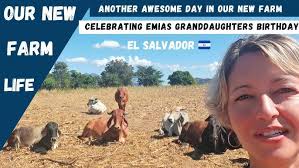 We Are BACK In Our New Farm Land. New Updates.