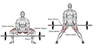 Bij de romanian deadlift ligt de nadruk meer op de hanstrings. Traditional Vs Sumo Deadlift Which Type Is Best For You Fitness Volt