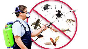 Prices from aed 149 in dubai, uae. Best Pest Control Company In Dubai To Exterminate Pests Immediately