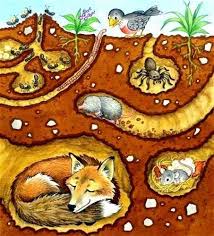 1 Million Stunning Free Images To Use Anywhere Www Restoremajorityrule Com In 2020 Elementary Art Animals That Hibernate Animals