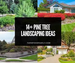We did not find results for: 14 Beautiful Pine Tree Landscaping Ideas Designs For Your Yard