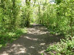 Hampden park tennis club is located in the delightful area of hampden park in eastbourne, surrounded by decoy wood and ham shaw where a variety of wildlife abounds. The Lovely Wood At Hampden Park Picture Of Lakeside Tea Chalet Eastbourne Tripadvisor