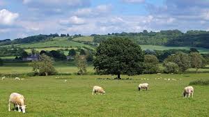 Flora yang tumbuh di dataran tinggi juga berbeda dengan flora yang hidup di dataran rendah. Geografi Negara Inggris England Guru Geografi