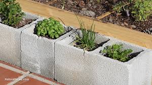 With most of these cinder block using ideas, you won't need much in the way of fancy tools and expensive devices. If You Grow Food In Cinder Blocks You May Be Poisoning Yourself With Heavy Metals Naturalnews Com