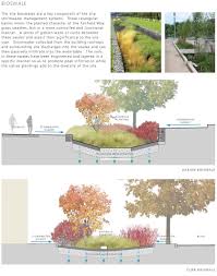 Bioswale Diagrams Landscape And Urbanism Landscape Architecture Landscape