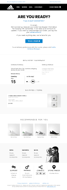 Welcome to the new adidas discount program platform! La Depression Mature Crante Adidas Confirmation Email Luminance Prince Le Dejeuner