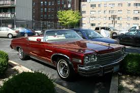 Image result for Majestic Blue 1975 Buick