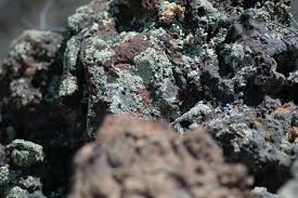 We ship bulk lava rock products on rail and by semi trucks from coast to coast. Ute Lava Moss Pallet High Plains Stone Company Colorado S Source For Flagstone Boulders And Landscaping Rock Denver Metro Area High Plains Stone Company Colorado S Source For Flagstone