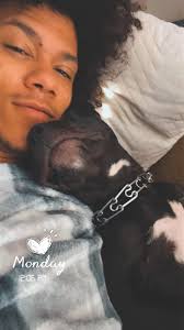 As most of you have seen, Eve has been doing great in her knew home. These  are my updated photos of my lil snuggle bug and she's the best dog I  could've