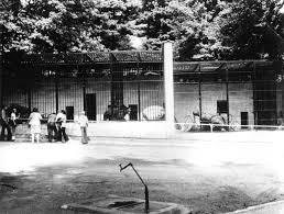 450 planě rostoucích druhů rostlin 190 let staré stromy 6000 rododendronů a azalek. Historie O Zoo Zoo Ostrava