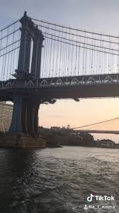 Video Baby I M In New York Di 2020 Wanderlust Travel