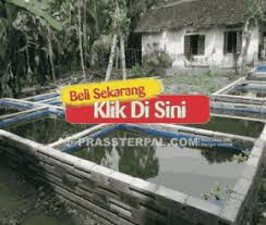 Sedang Mencari Supplier Kolam Terpal Di Kepulauan Siau Tagulandang Biaro Klik Disini Kolam Di 2020 Kolam Kepulauan Kota