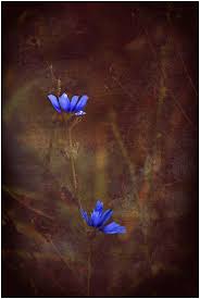 Cornflower Art Painting Abstract